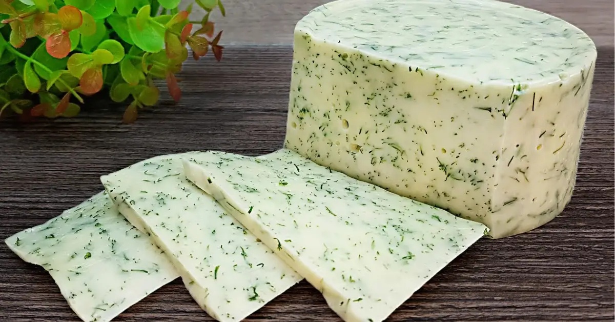 Como hacer este delicioso queso saludable con pocos ingredientes