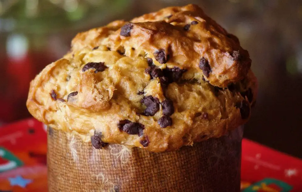 Cómo hacer panettone casero estilo navidad ¡Super facil!