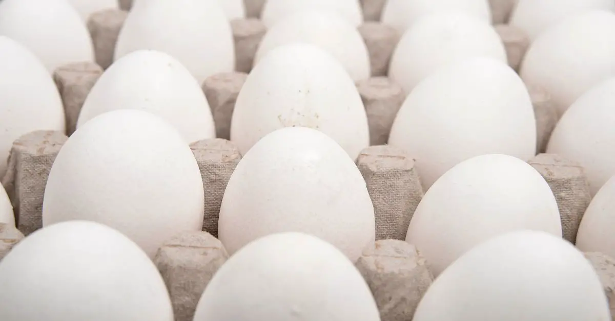 ¿Cómo se deben guardar los huevos para evitar la salmonella?