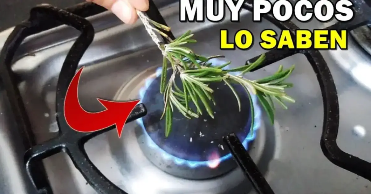 Quema romero en tu casa y 10 minutos después lo agradecerás debido a los numerosos beneficios que tendrás ¡En este artículo te lo contamos!