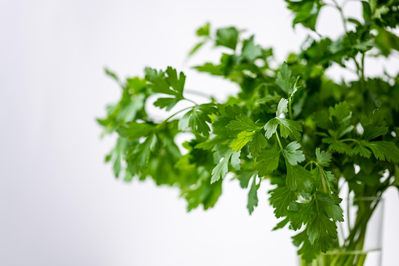Cilantro o perejil: cómo diferenciarlos fácilmente en el supermercado