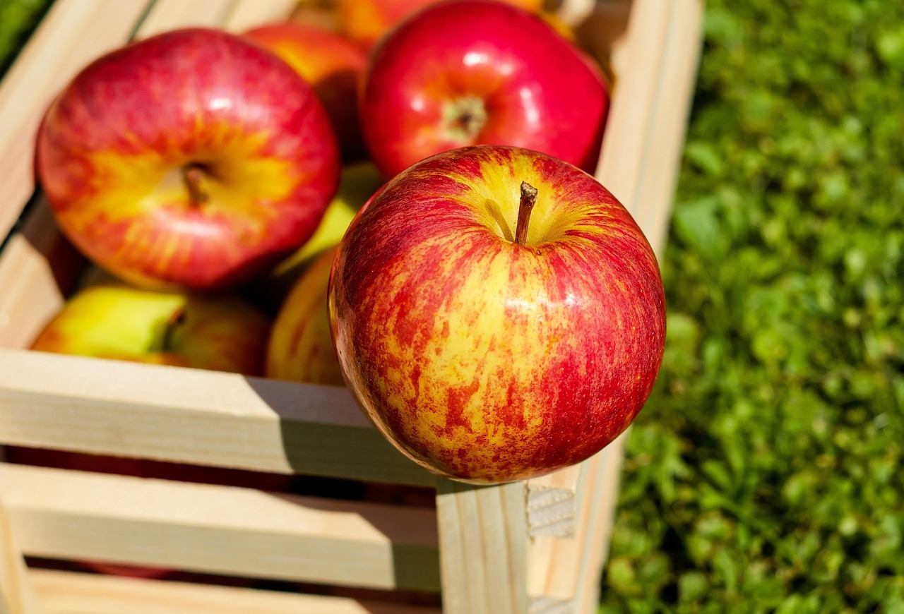 Cómo transformar un cajón plástico de frutas en una maceta de cemento para tu jardín